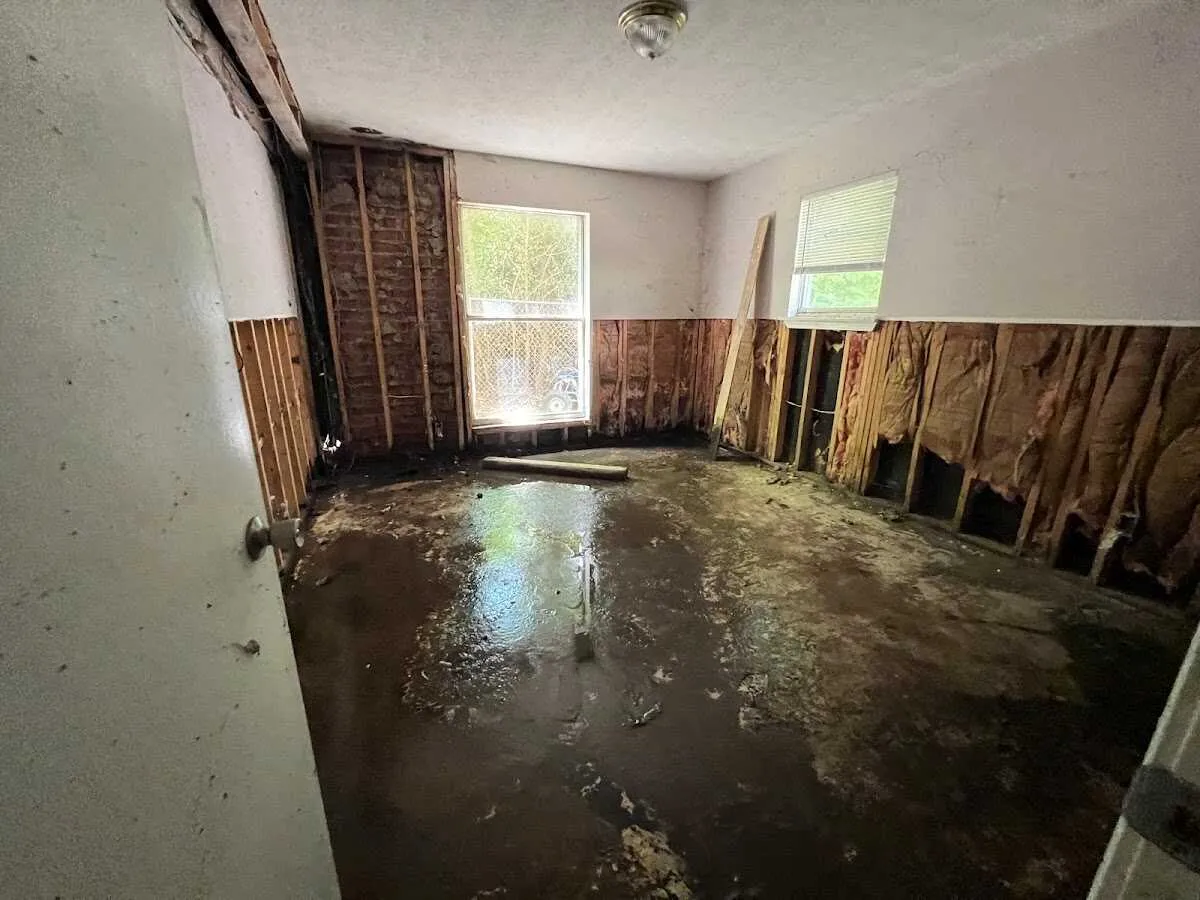 Water Damage Restoration services in Alpine, CA